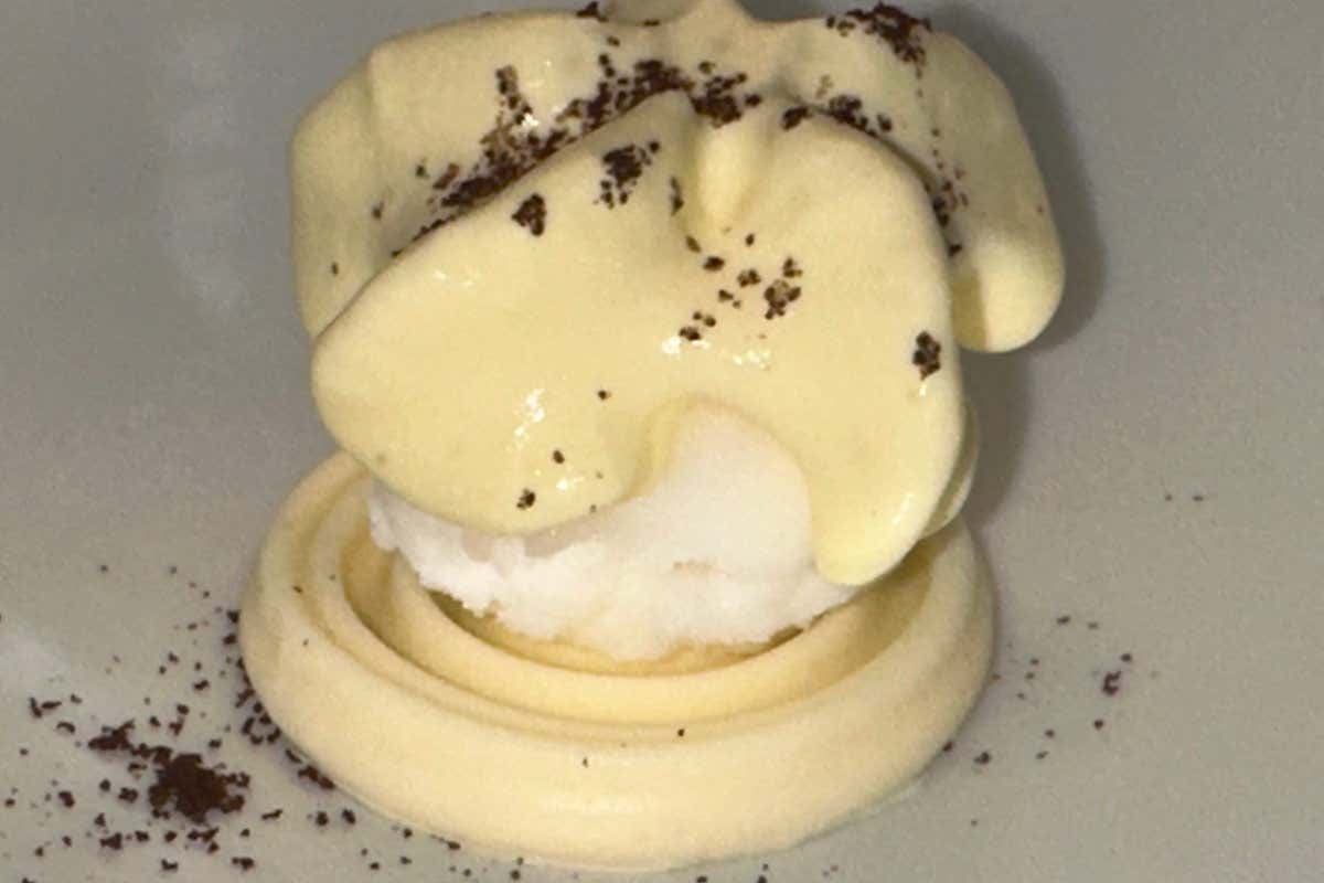 Zest: il nuovo capitolo della cucina mediterranea a Sorrento
